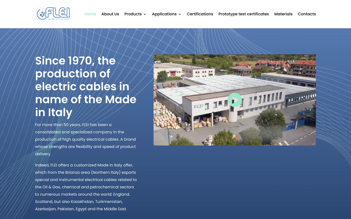 Homepage del sito Flei