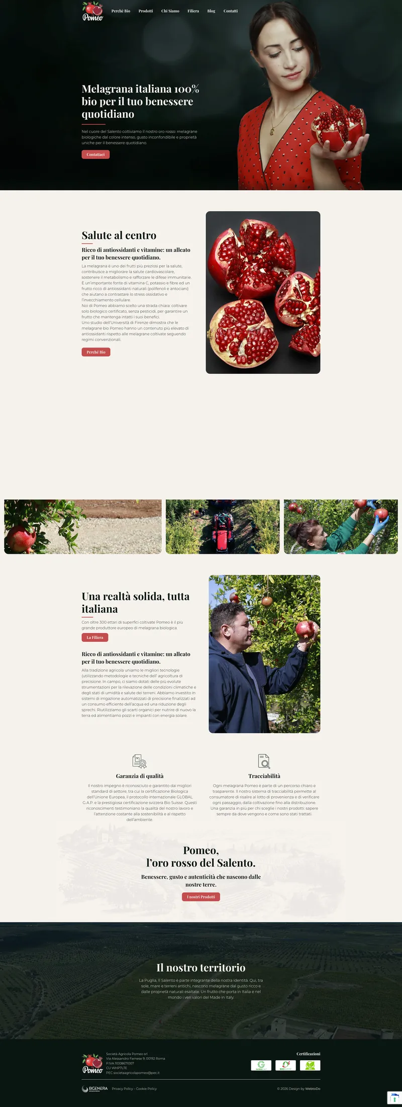 Pagina completa del sito Pomeo